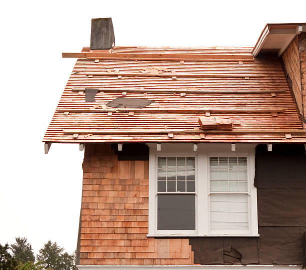 Affordable Siding Repair and Maintenance Services in Kenosha, WI